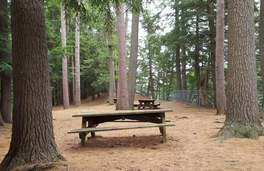 Nathan's Garden, United States